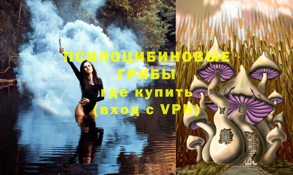 ешки Горняк